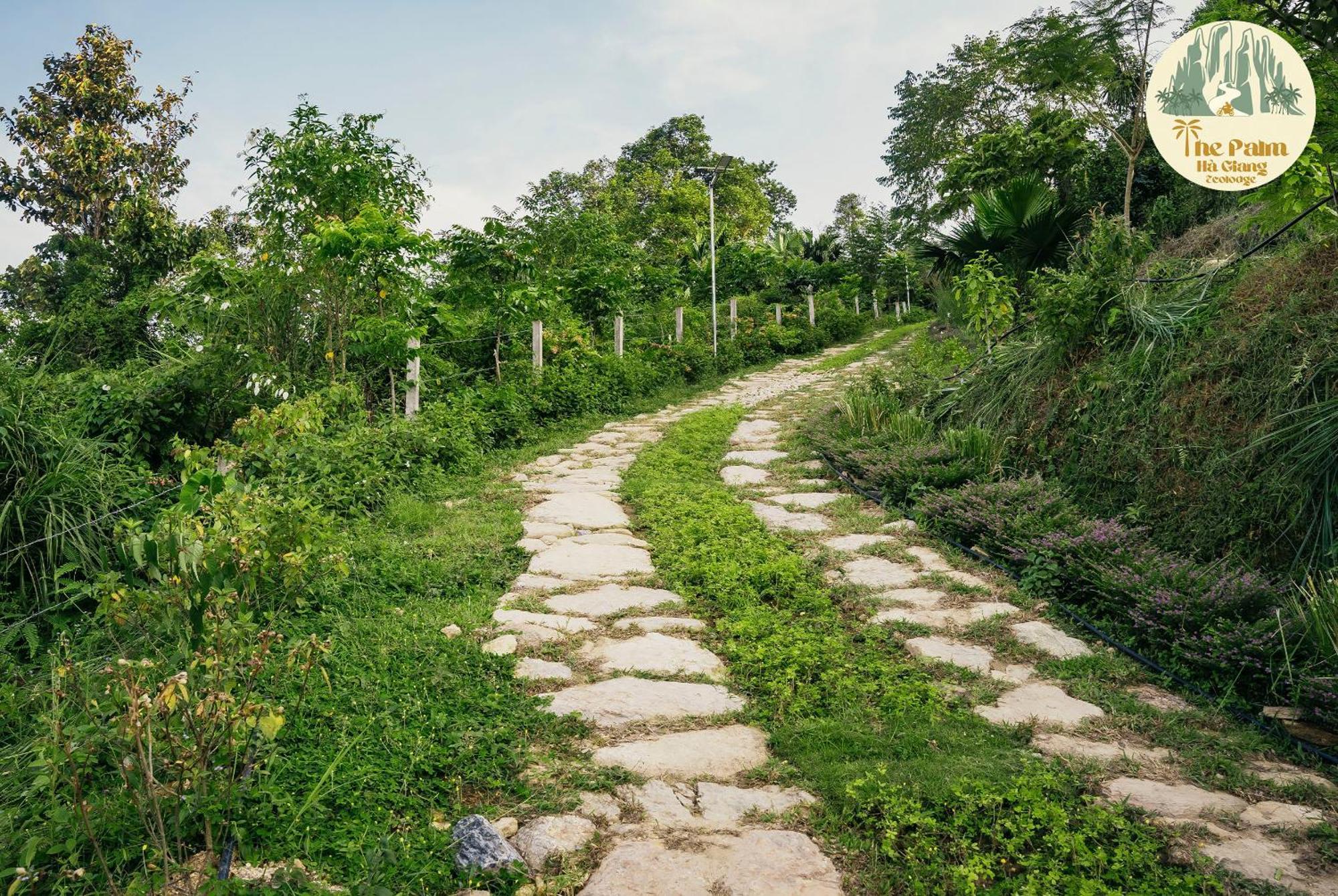 Tvpalm Ecolodge Ha Giang Exterior foto