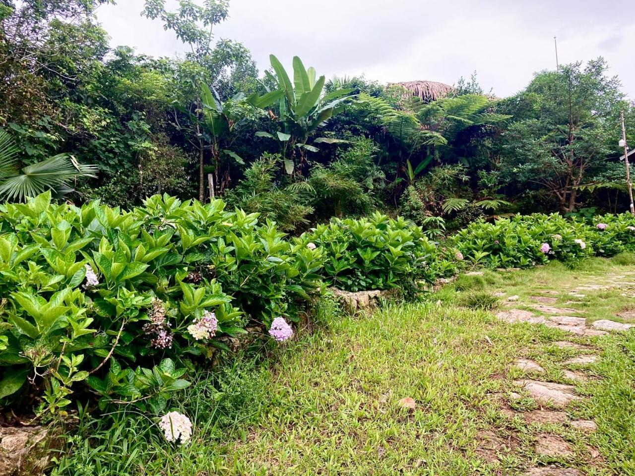 Tvpalm Ecolodge Ha Giang Exterior foto