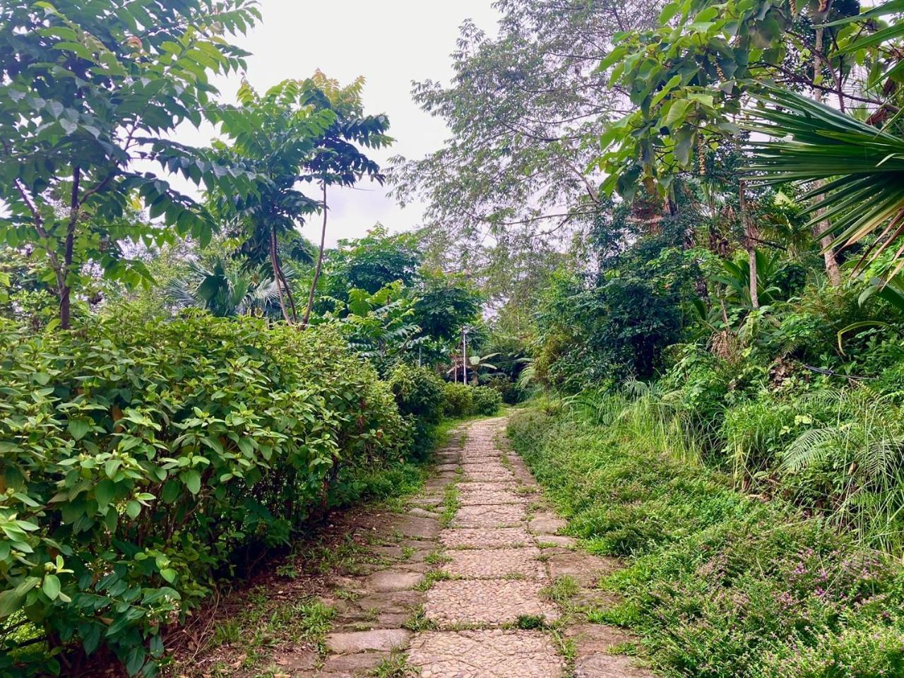 Tvpalm Ecolodge Ha Giang Exterior foto